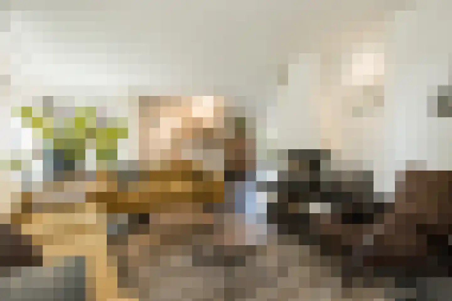 Nieuwe Tijningen 103 Zaltbommel thumbnail 11