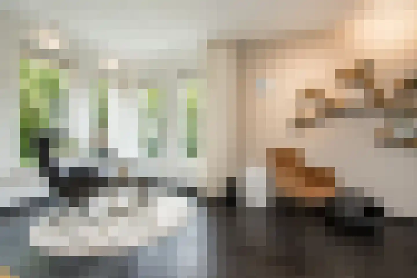Nieuwe Tijningen 103 Zaltbommel thumbnail 13
