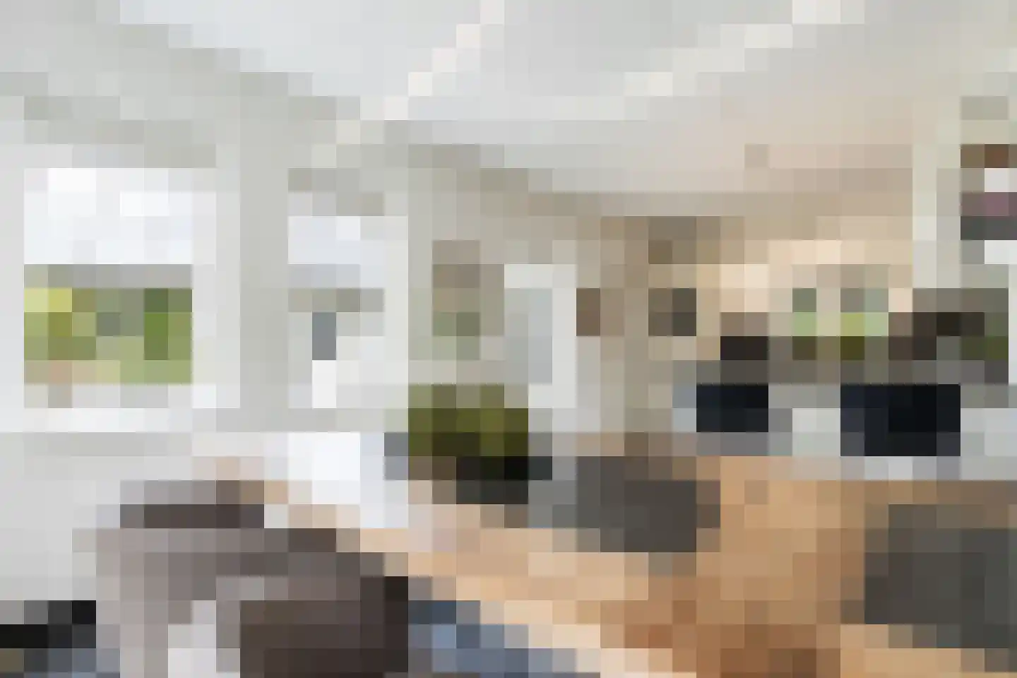 Nieuwe Tijningen 103 Zaltbommel thumbnail 17