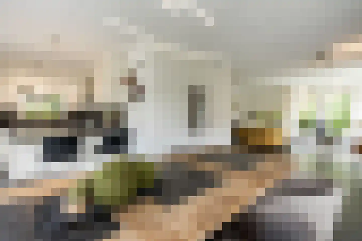 Nieuwe Tijningen 103 Zaltbommel thumbnail 18