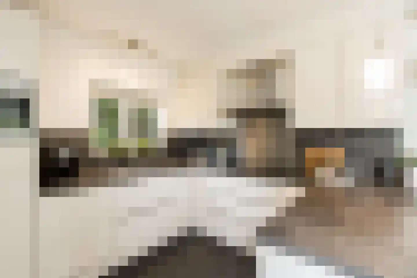 Nieuwe Tijningen 103 Zaltbommel thumbnail 20