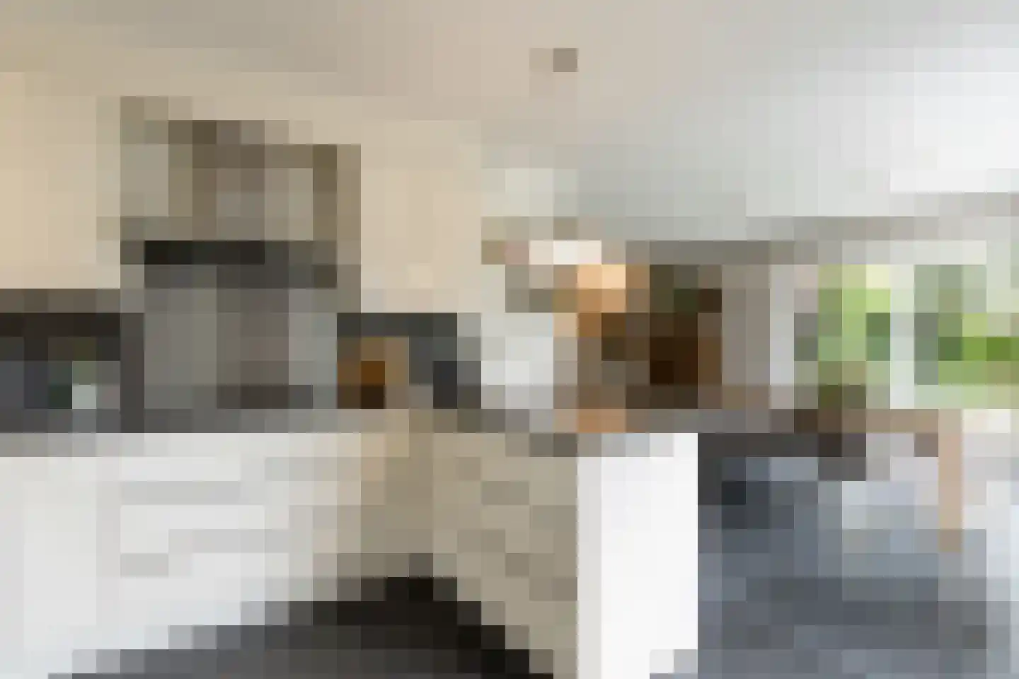 Nieuwe Tijningen 103 Zaltbommel thumbnail 22