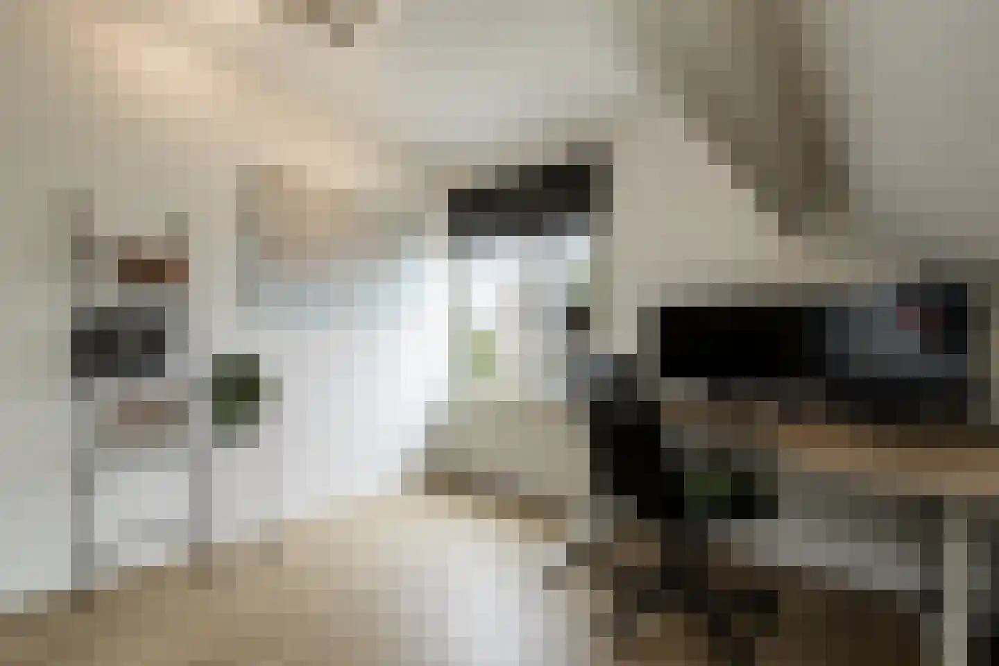 Nieuwe Tijningen 103 Zaltbommel thumbnail 30