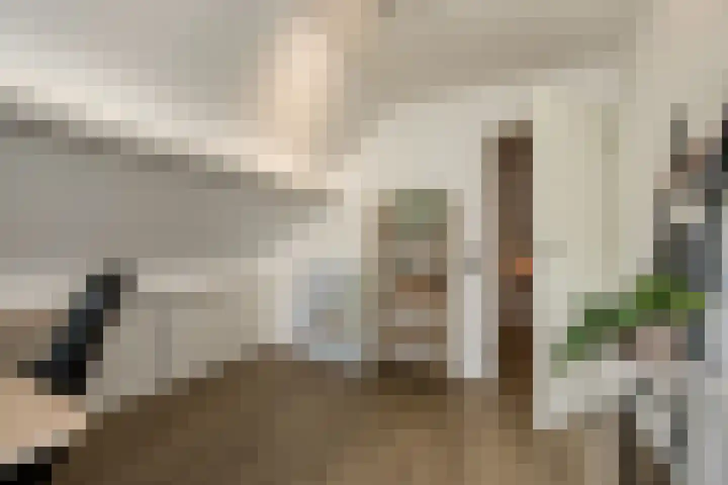 Nieuwe Tijningen 103 Zaltbommel thumbnail 31