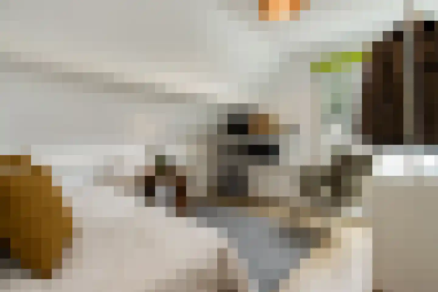 Nieuwe Tijningen 103 Zaltbommel thumbnail 32