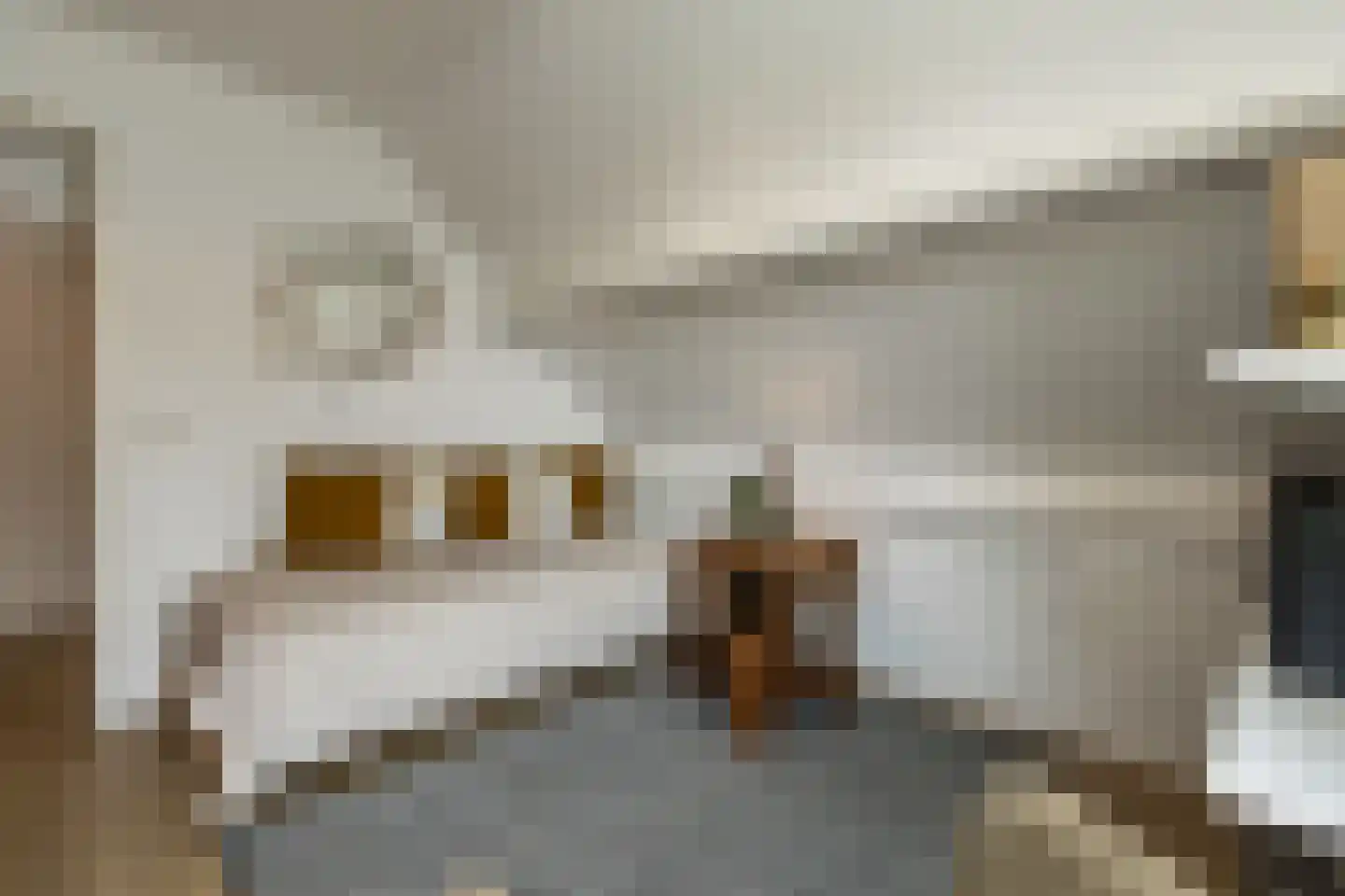 Nieuwe Tijningen 103 Zaltbommel thumbnail 33