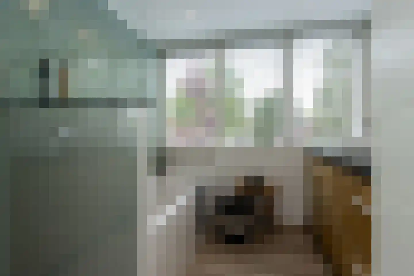 Nieuwe Tijningen 103 Zaltbommel thumbnail 38