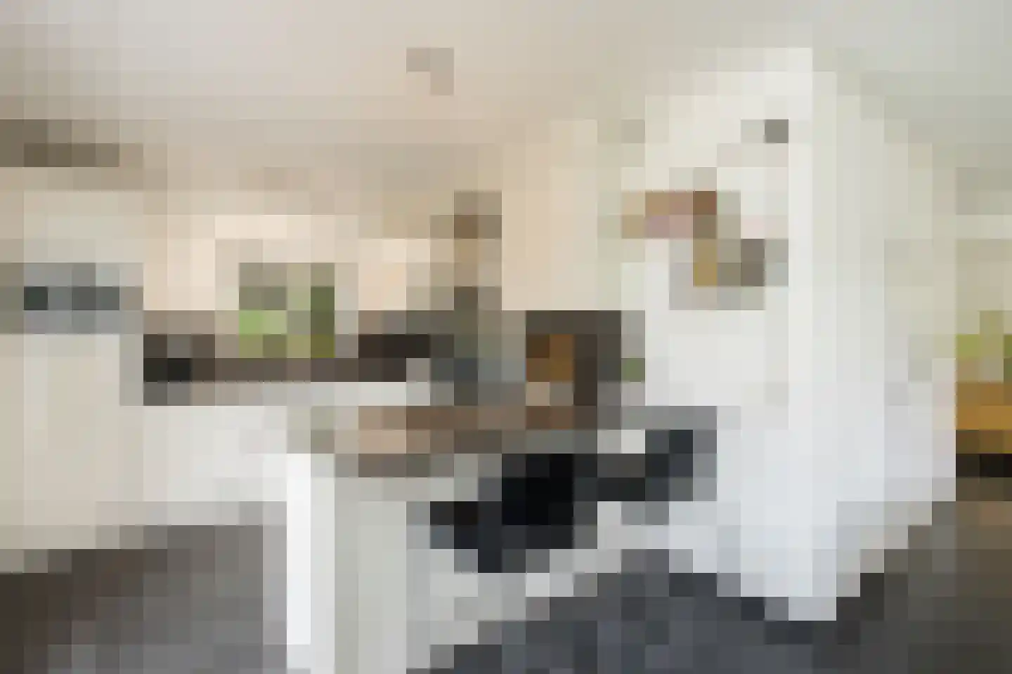 Nieuwe Tijningen 103 Zaltbommel thumbnail 4