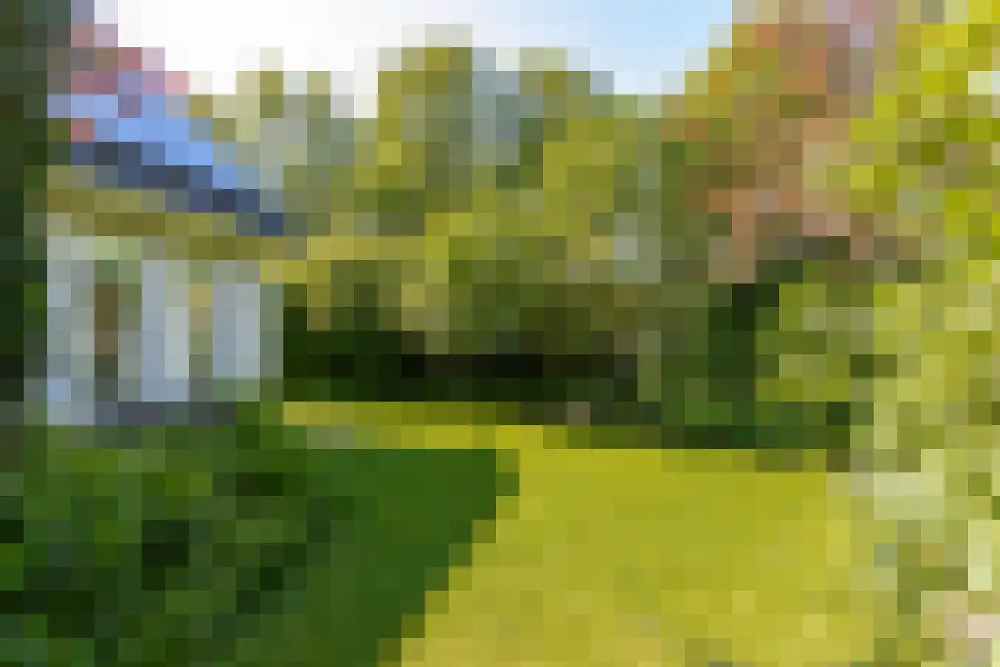 Nieuwe Tijningen 103 Zaltbommel thumbnail 47