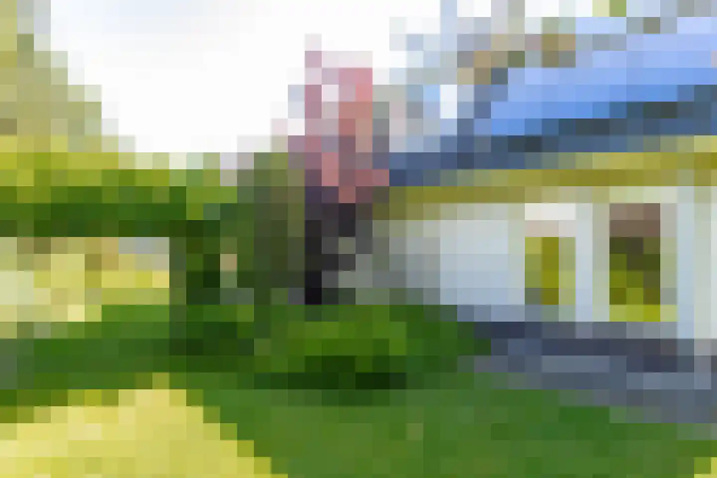 Nieuwe Tijningen 103 Zaltbommel thumbnail 48
