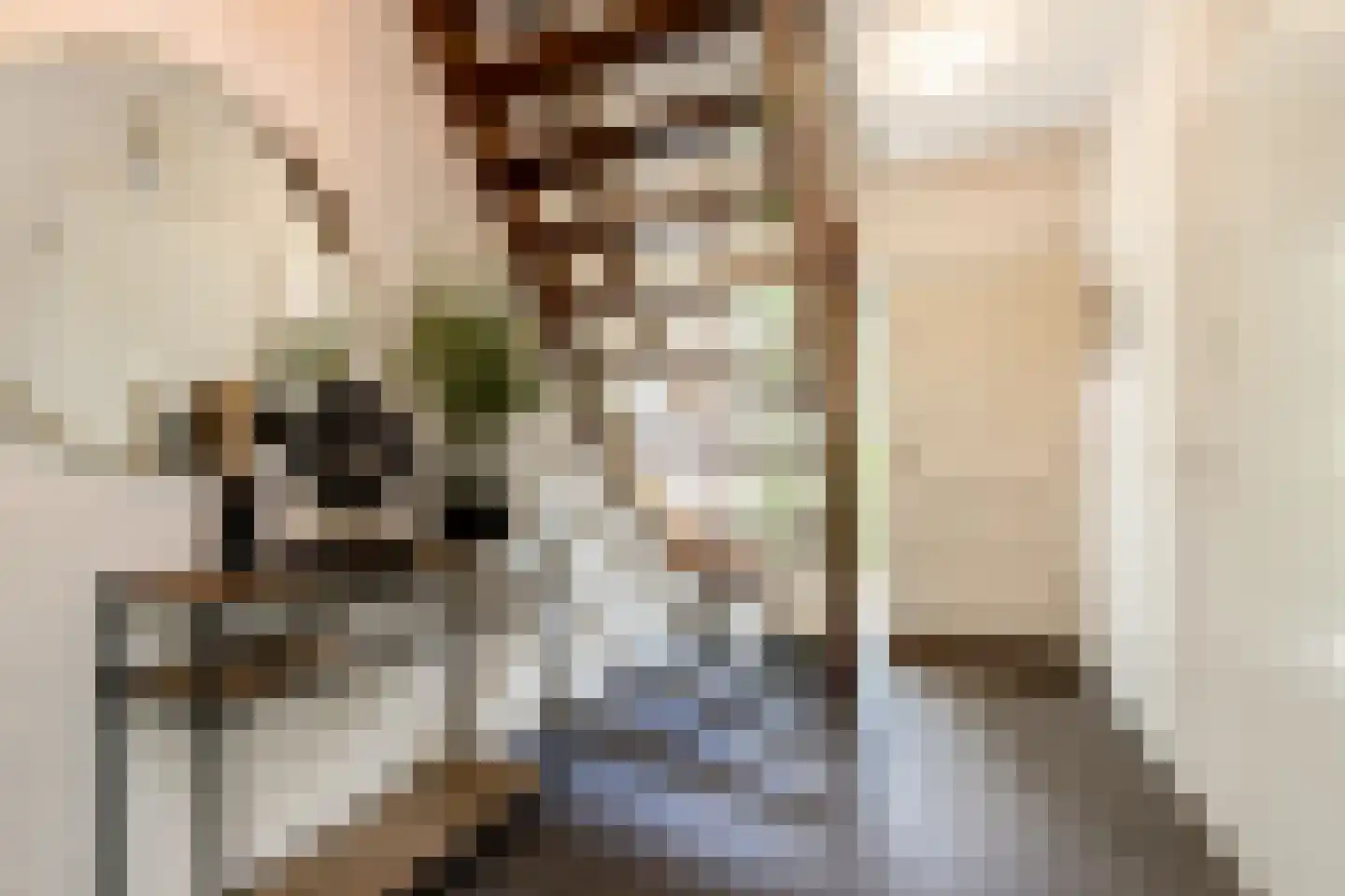 Nieuwe Tijningen 103 Zaltbommel thumbnail 5