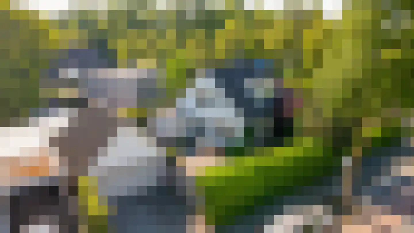 Nieuwe Tijningen 103 Zaltbommel thumbnail 52