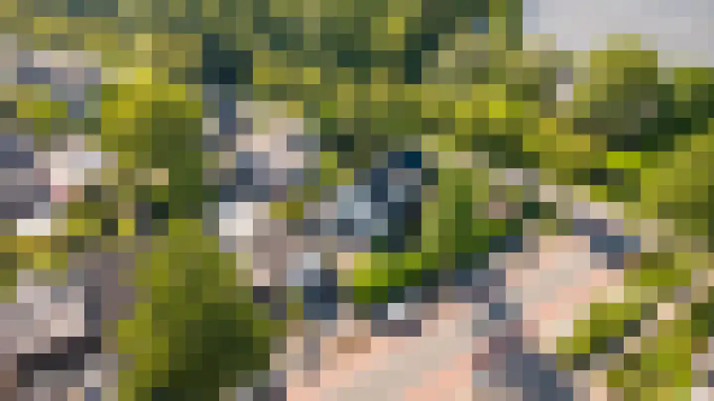 Nieuwe Tijningen 103 Zaltbommel thumbnail 54