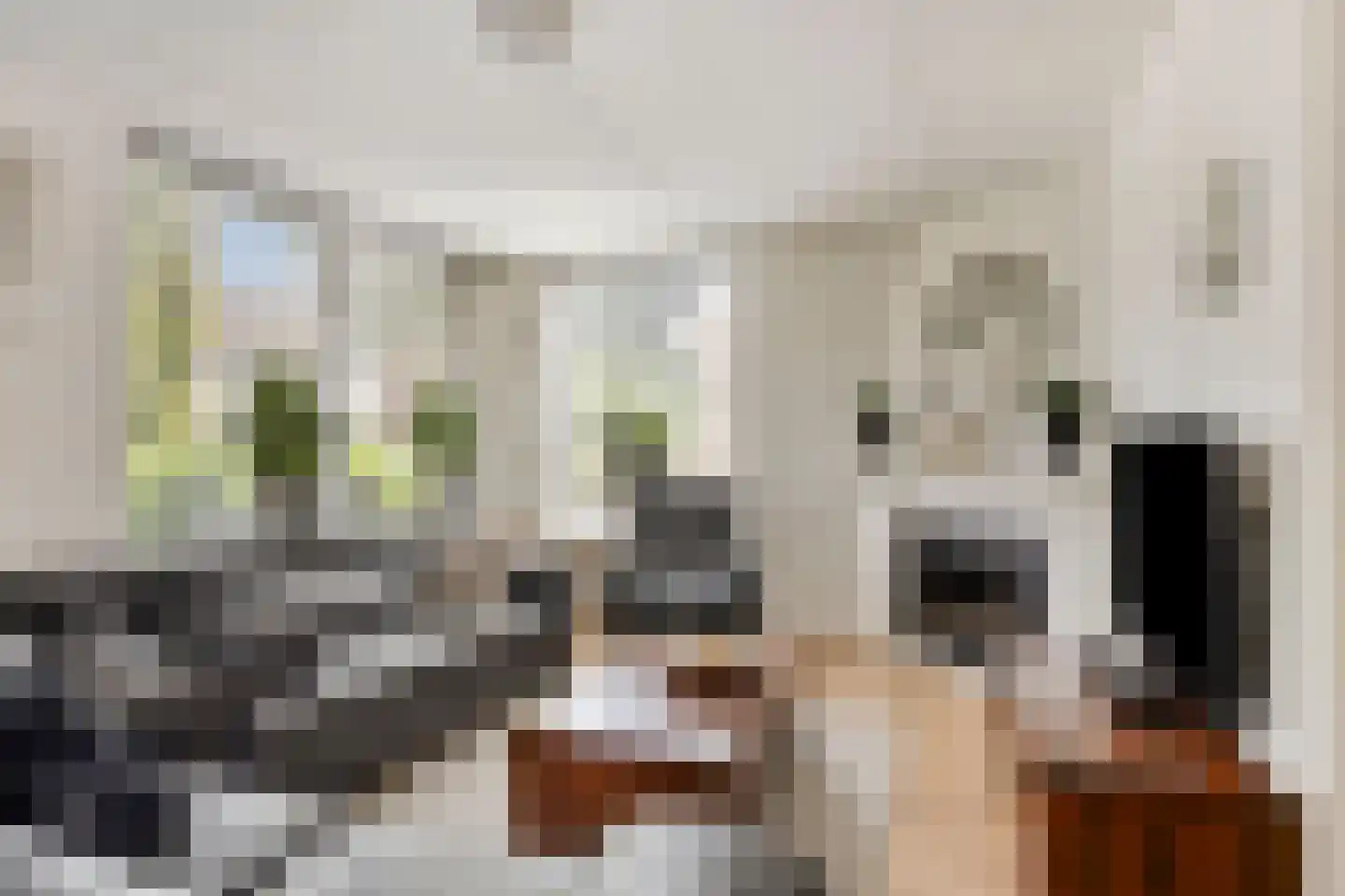 Nieuwe Tijningen 26 Zaltbommel thumbnail 10