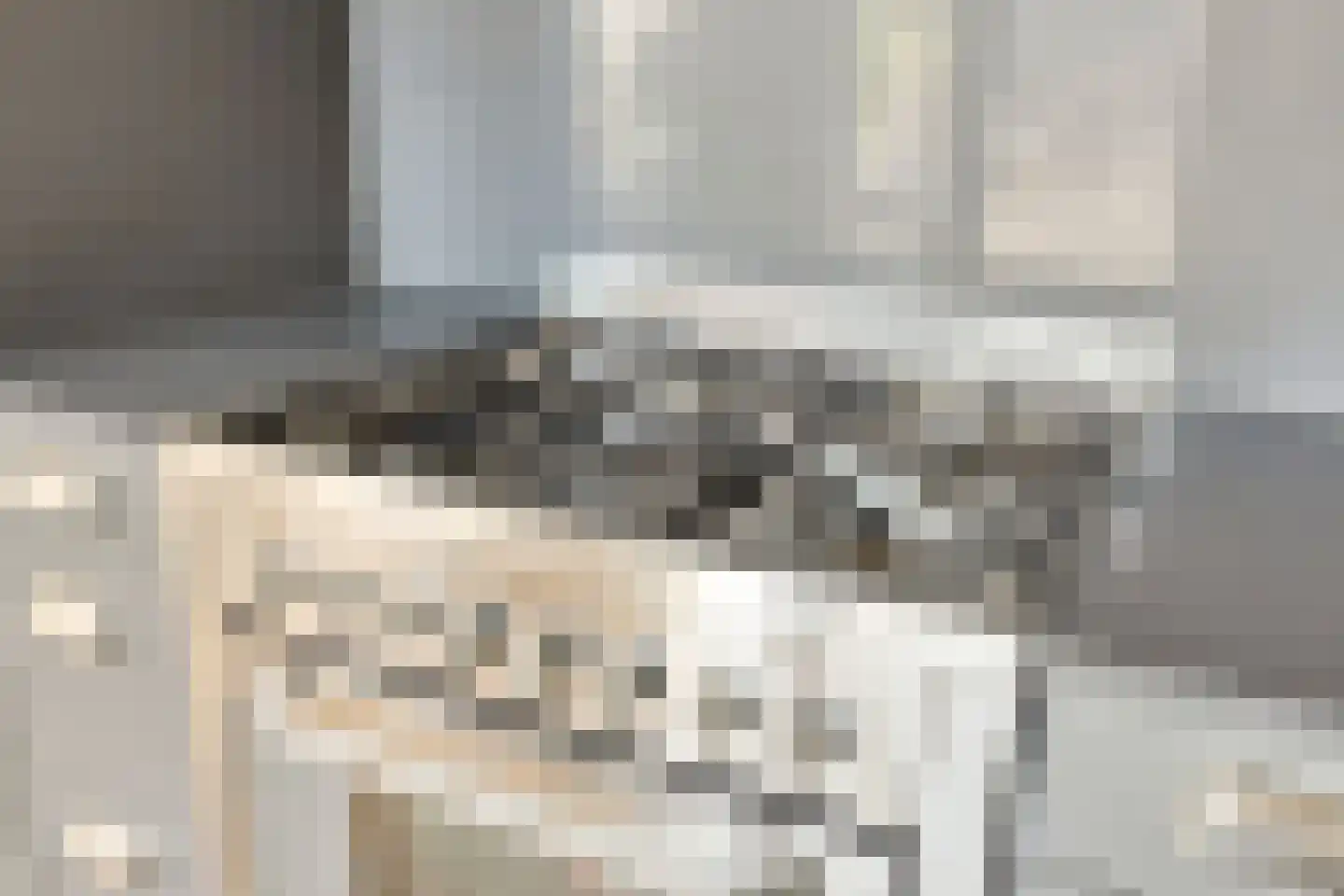 Nieuwe Tijningen 26 Zaltbommel thumbnail 19