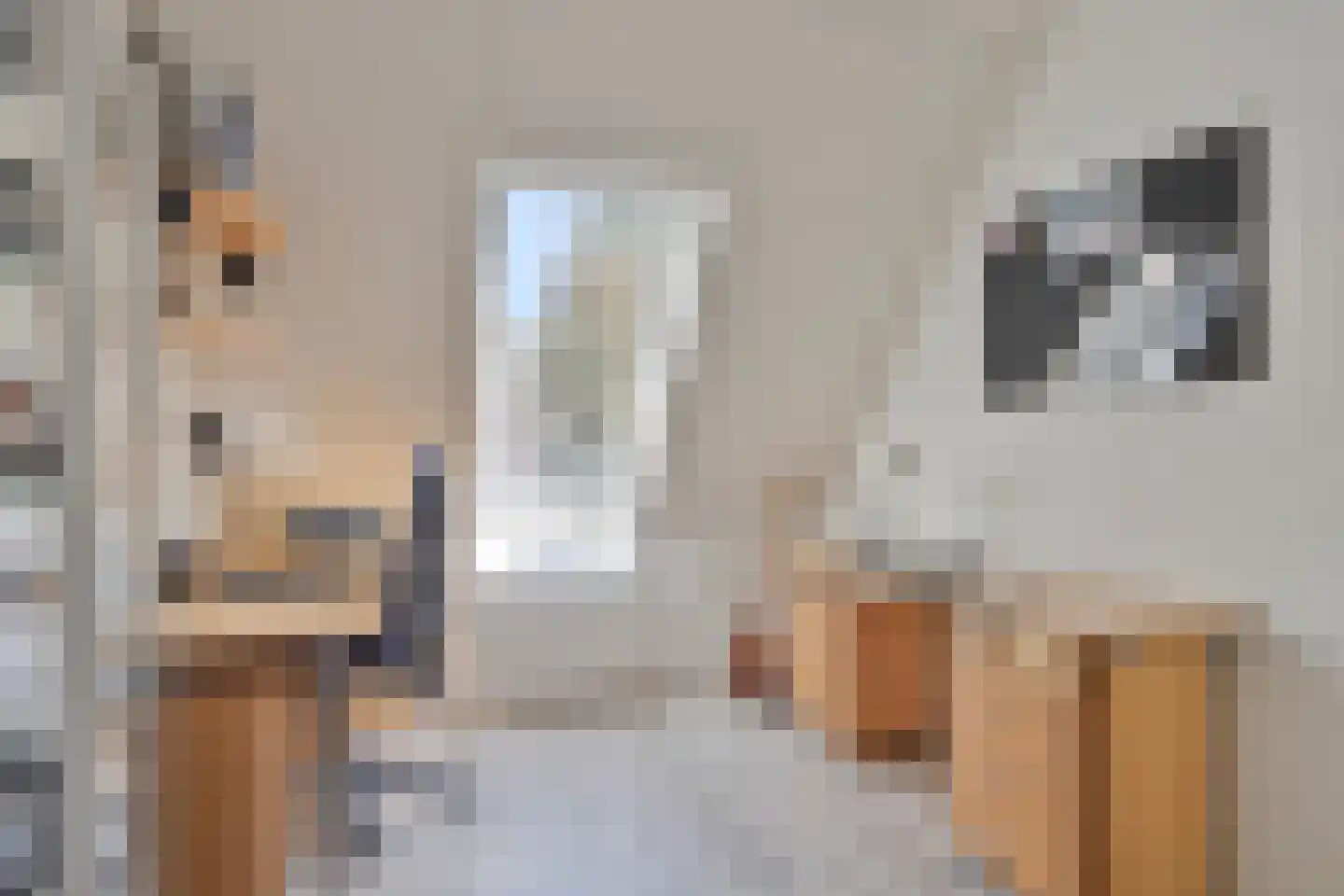 Nieuwe Tijningen 26 Zaltbommel thumbnail 25