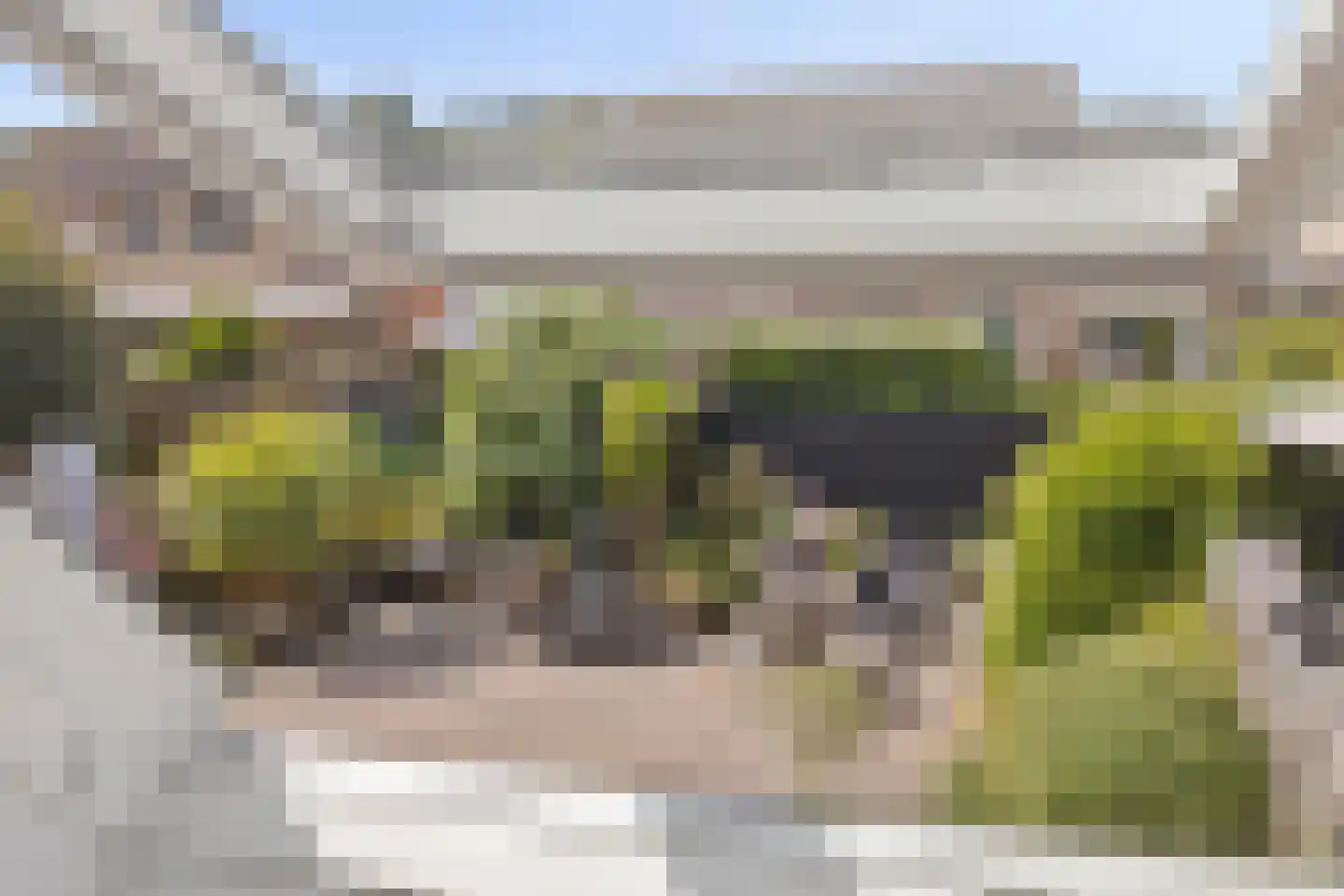 Nieuwe Tijningen 26 Zaltbommel thumbnail 27