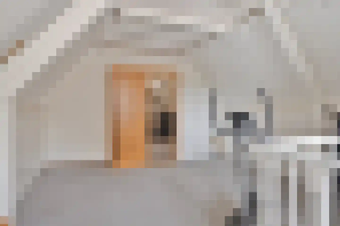 Nieuwe Tijningen 26 Zaltbommel thumbnail 31