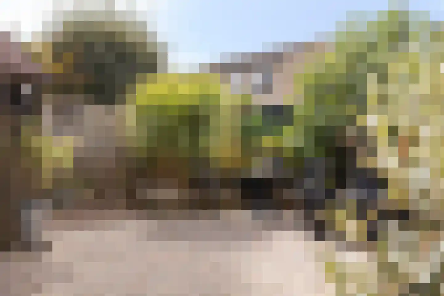 Nieuwe Tijningen 26 Zaltbommel thumbnail 36