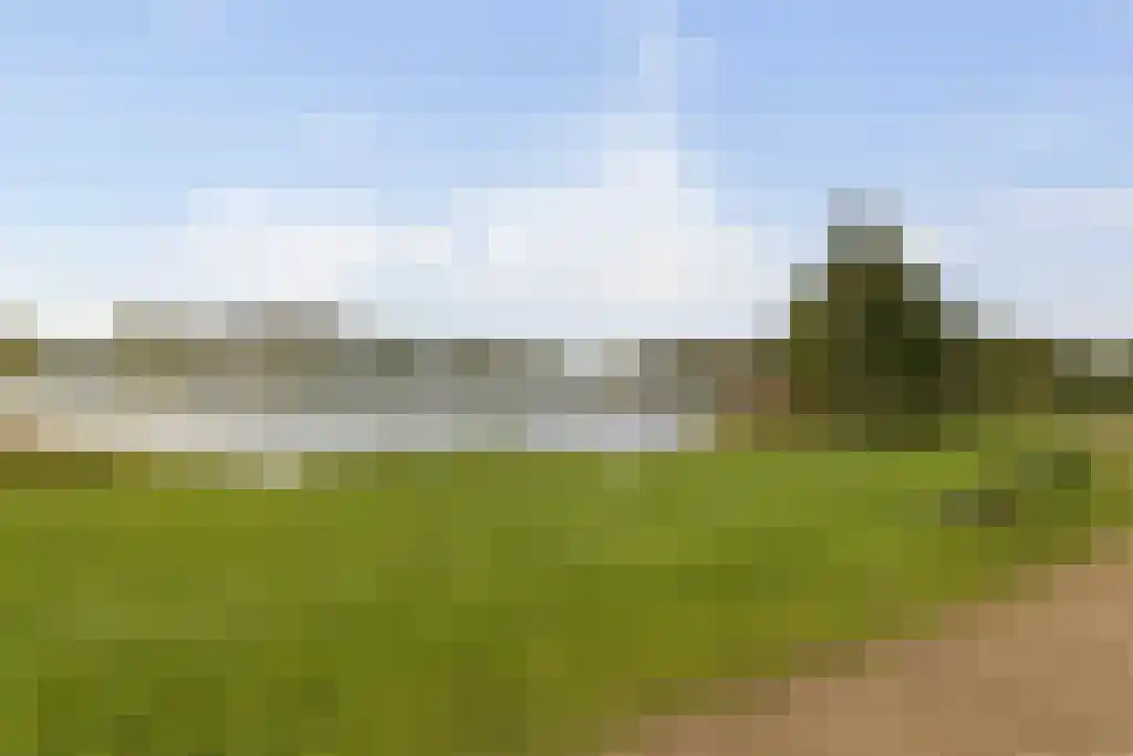 Nieuwe Tijningen 26 Zaltbommel thumbnail 41