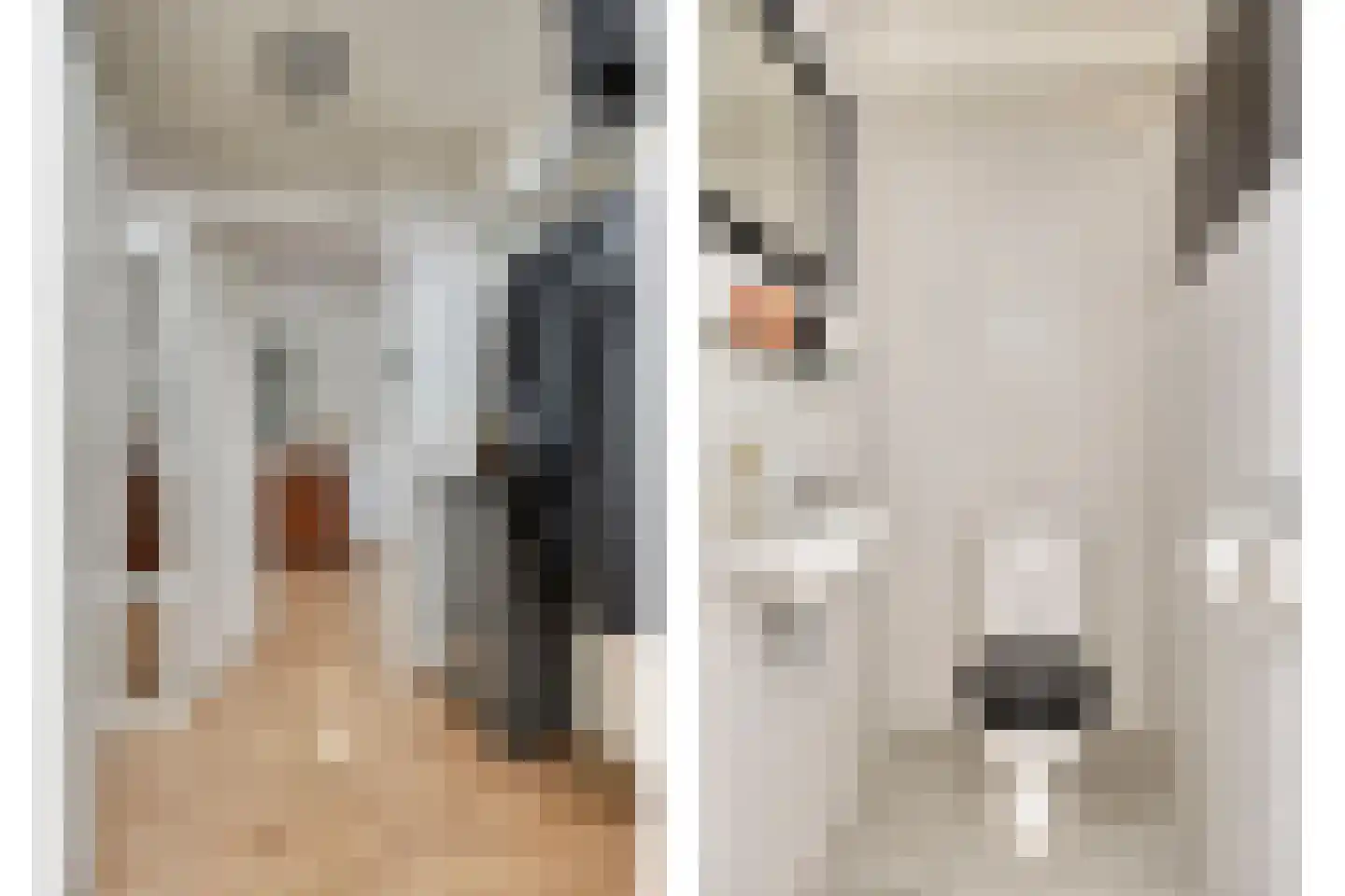 Nieuwe Tijningen 26 Zaltbommel thumbnail 8