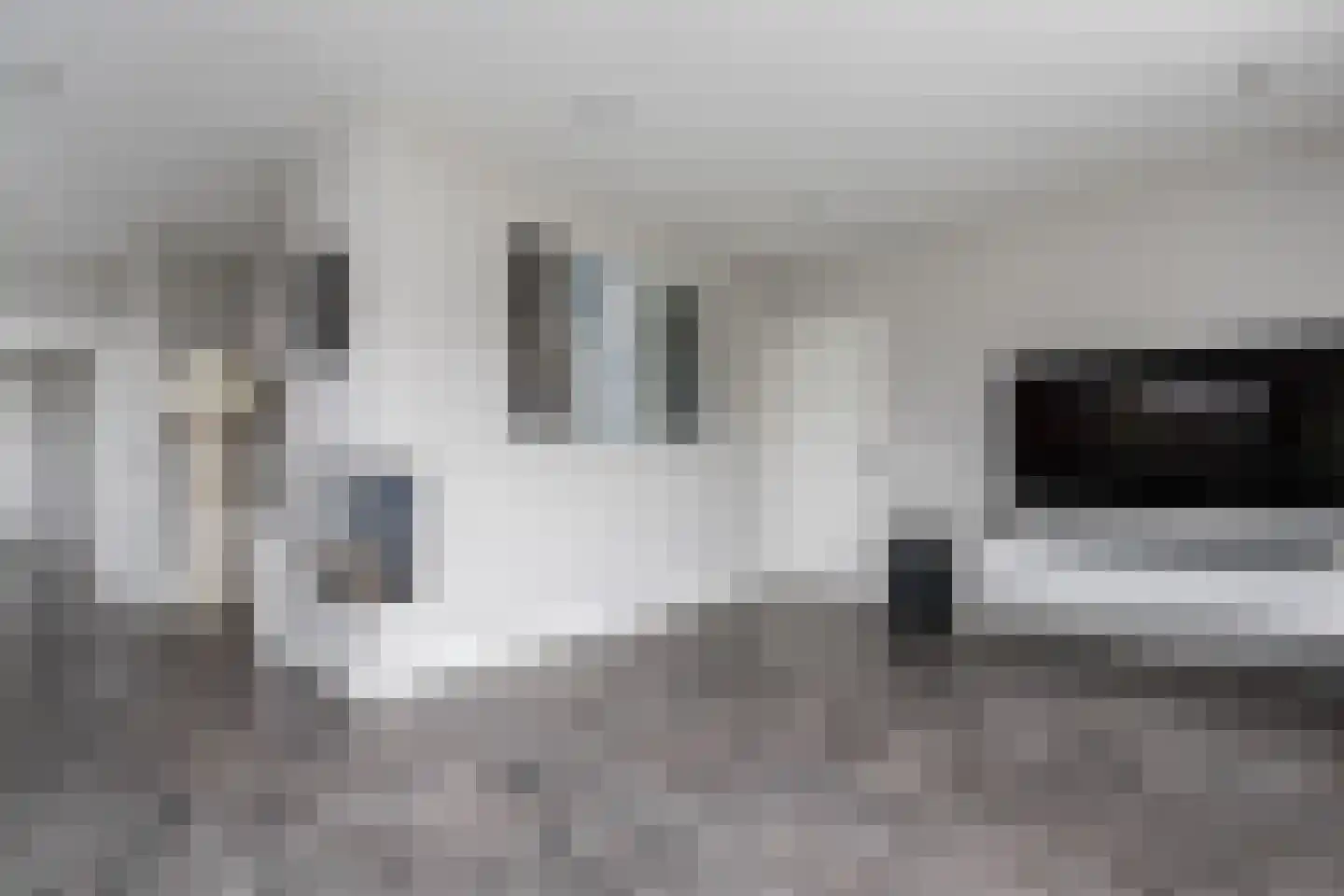 Nieuwe Tijningen 86 Zaltbommel thumbnail 11