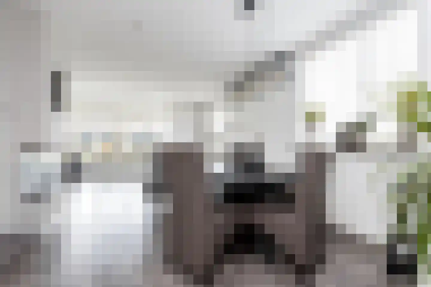 Nieuwe Tijningen 86 Zaltbommel thumbnail 12