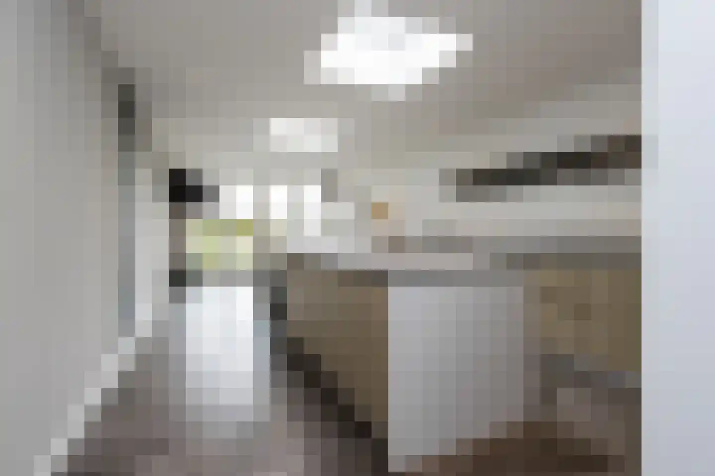 Nieuwe Tijningen 86 Zaltbommel thumbnail 17