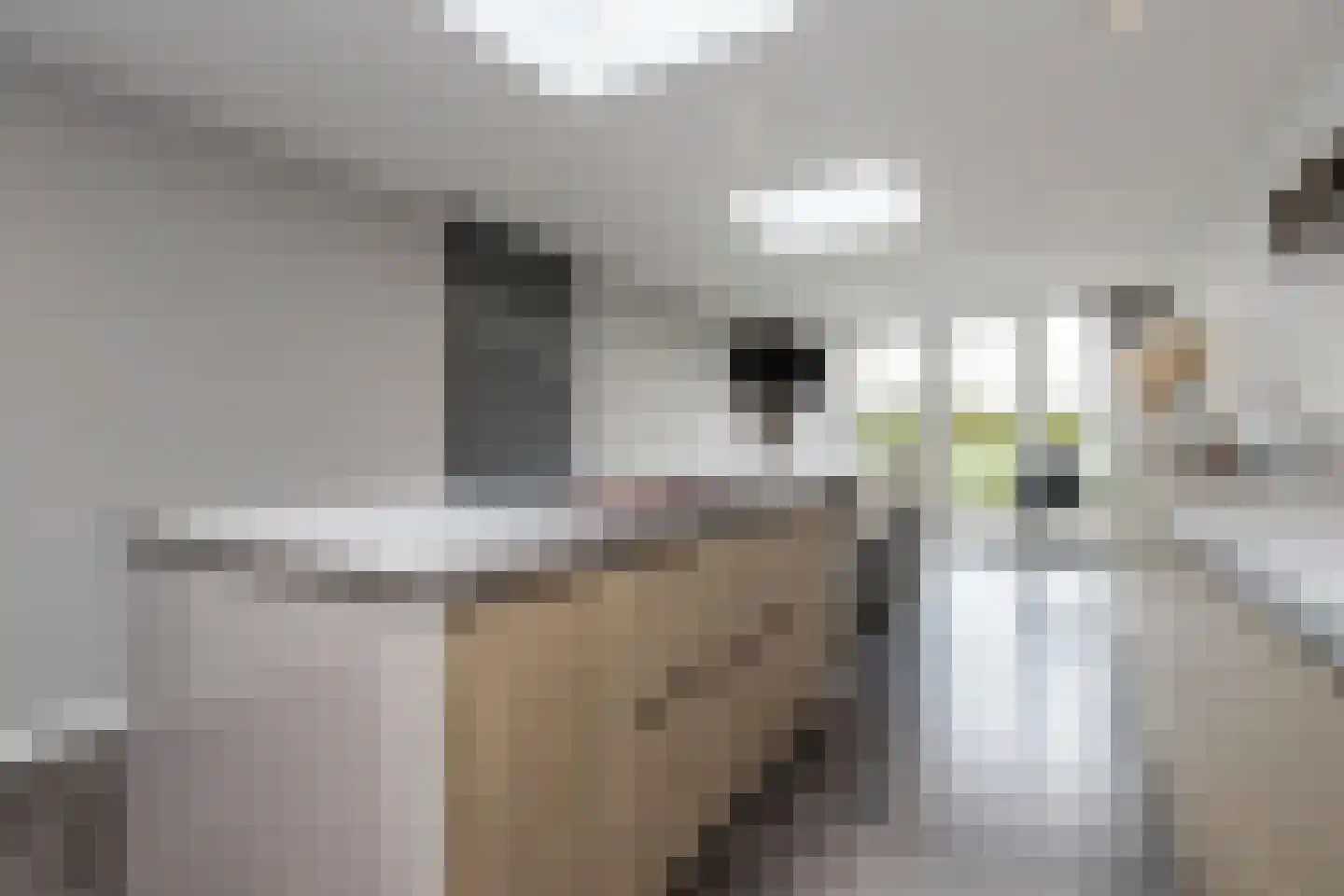 Nieuwe Tijningen 86 Zaltbommel thumbnail 19