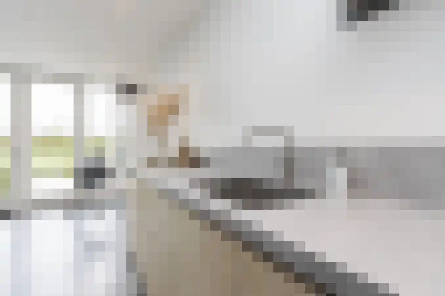 Nieuwe Tijningen 86 Zaltbommel thumbnail 20