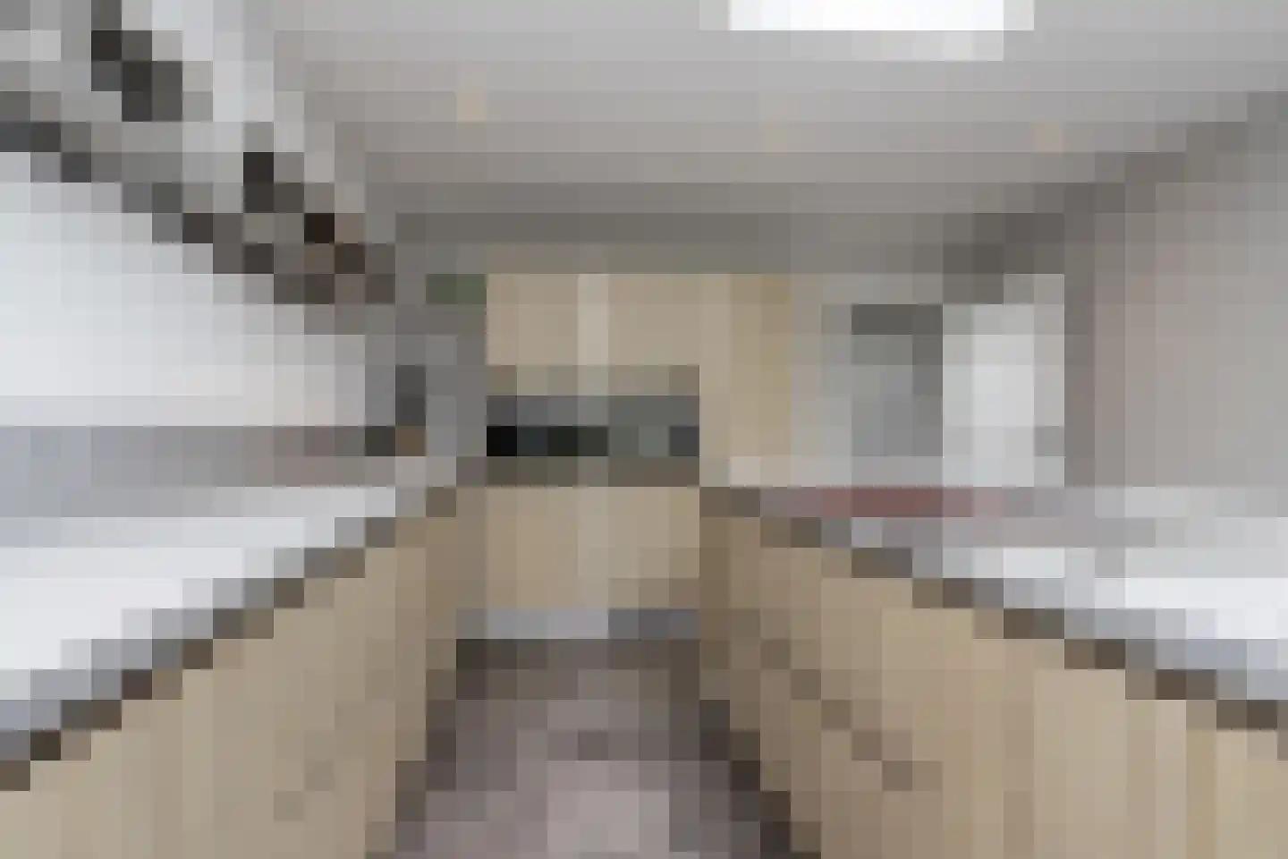 Nieuwe Tijningen 86 Zaltbommel thumbnail 21
