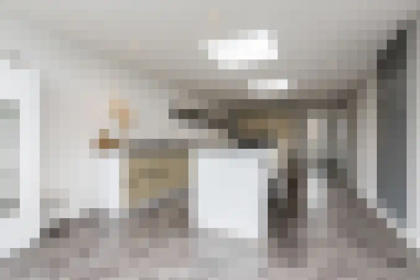 Nieuwe Tijningen 86 Zaltbommel thumbnail 23