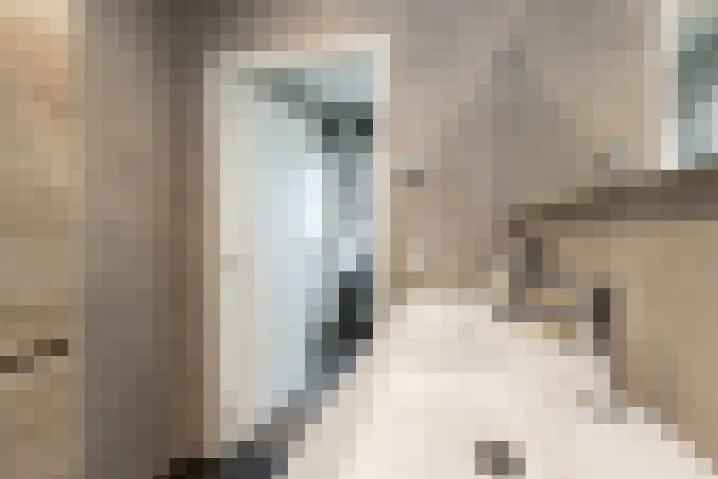 Nieuwe Tijningen 86 Zaltbommel thumbnail 33