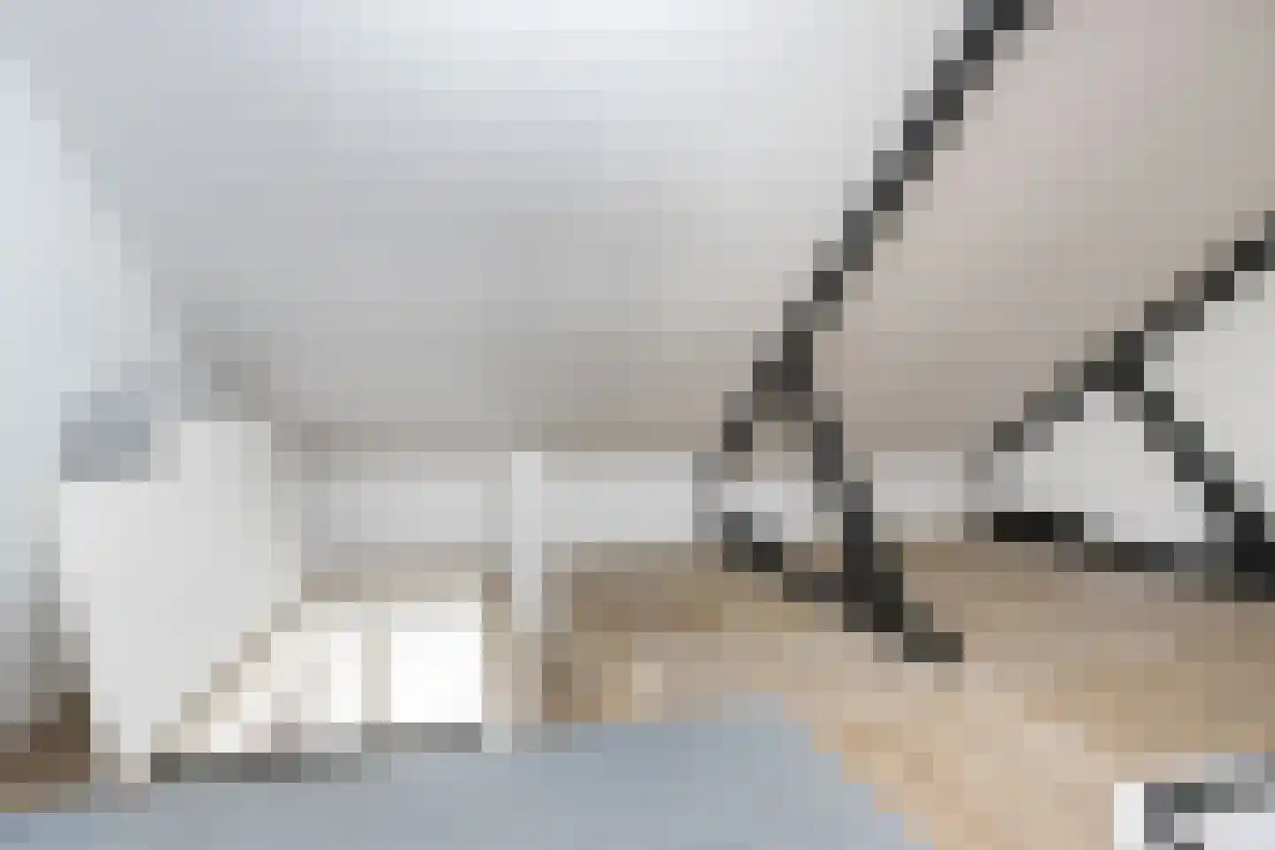 Nieuwe Tijningen 86 Zaltbommel thumbnail 37