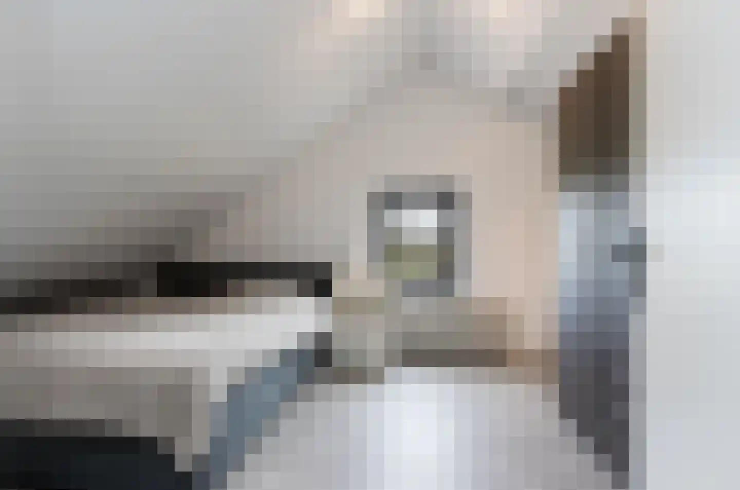 Nieuwe Tijningen 86 Zaltbommel thumbnail 38