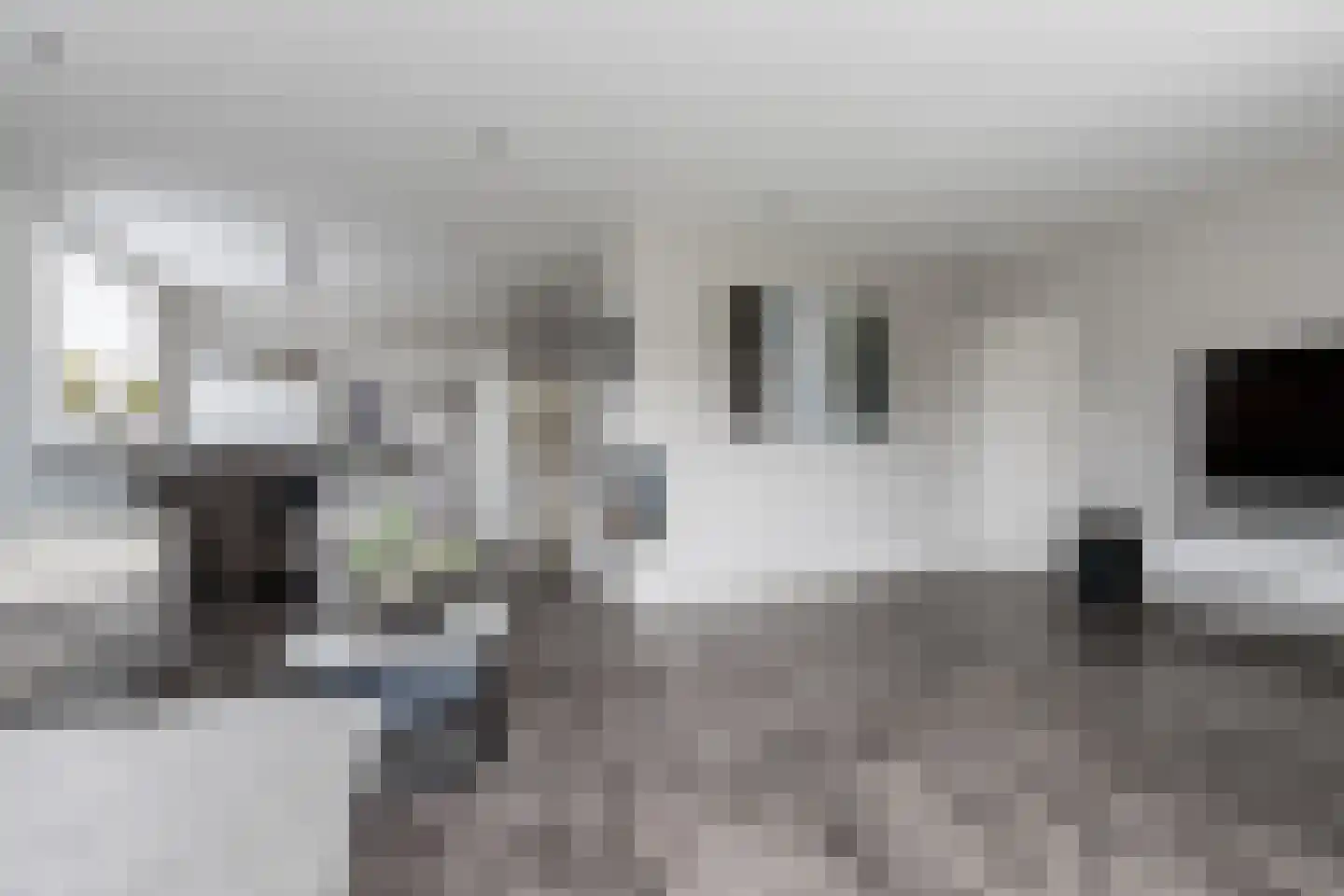 Nieuwe Tijningen 86 Zaltbommel thumbnail 5