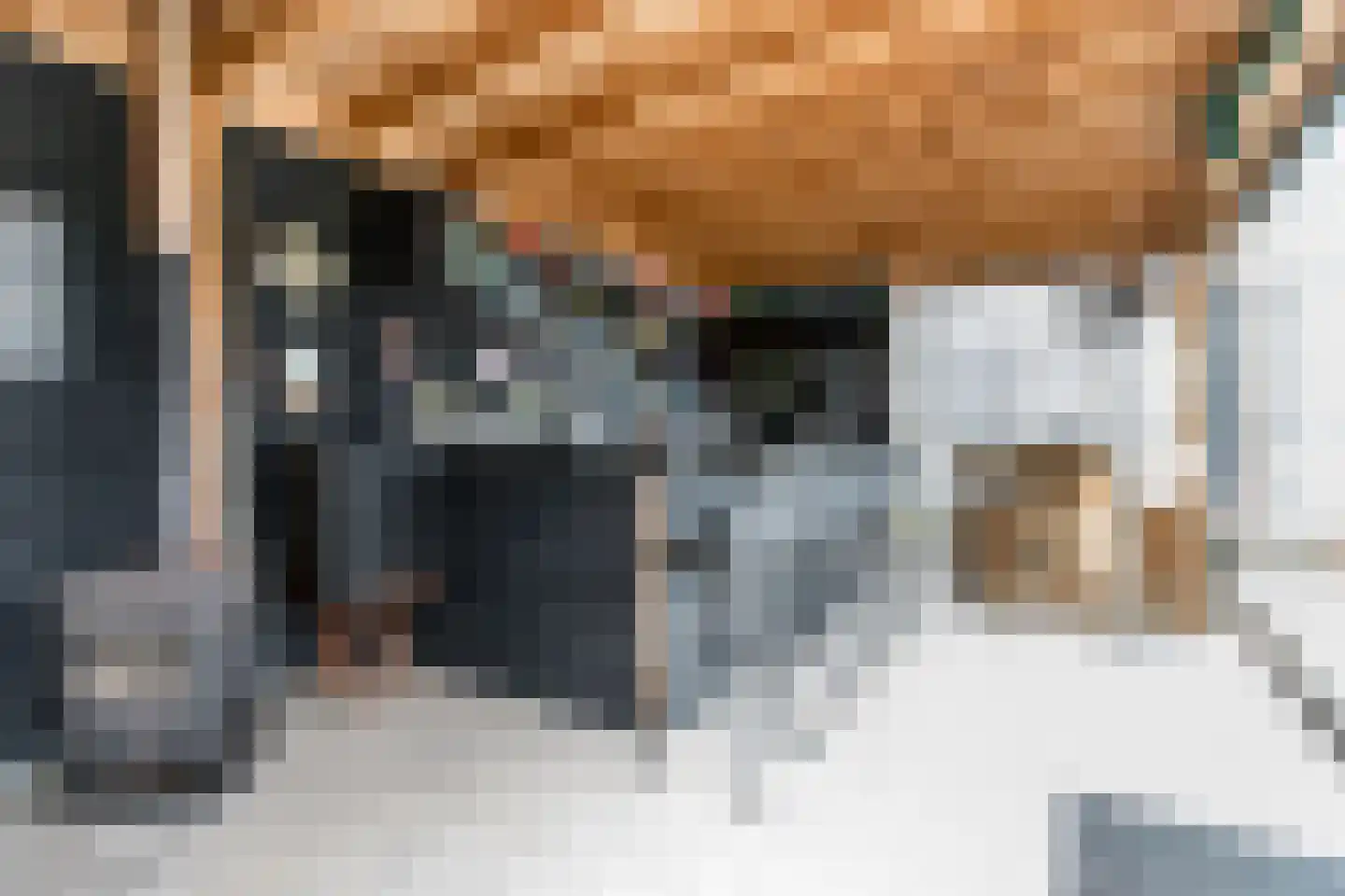 Nieuwe Tijningen 86 Zaltbommel thumbnail 52
