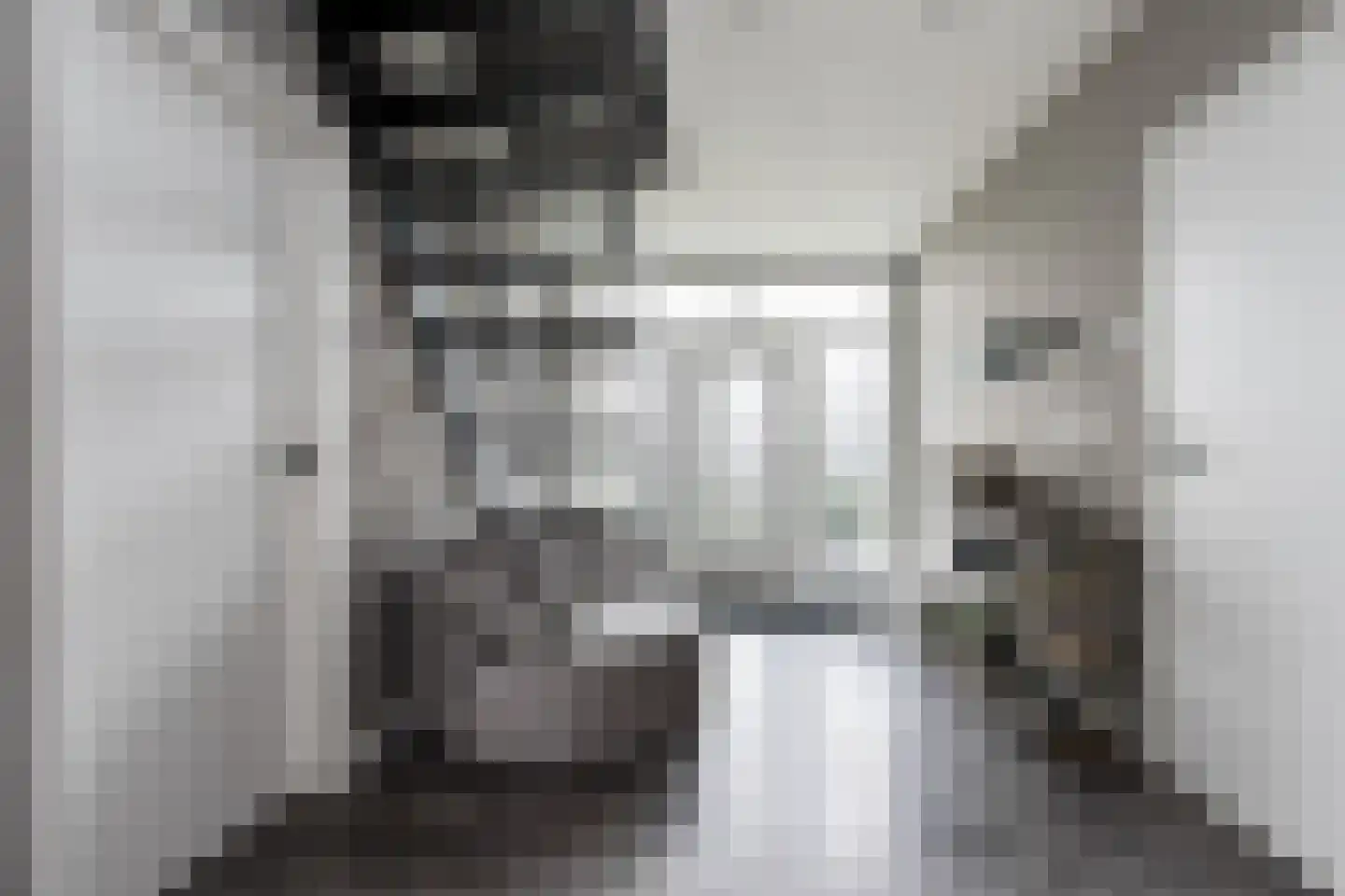 Nieuwe Tijningen 86 Zaltbommel thumbnail 6