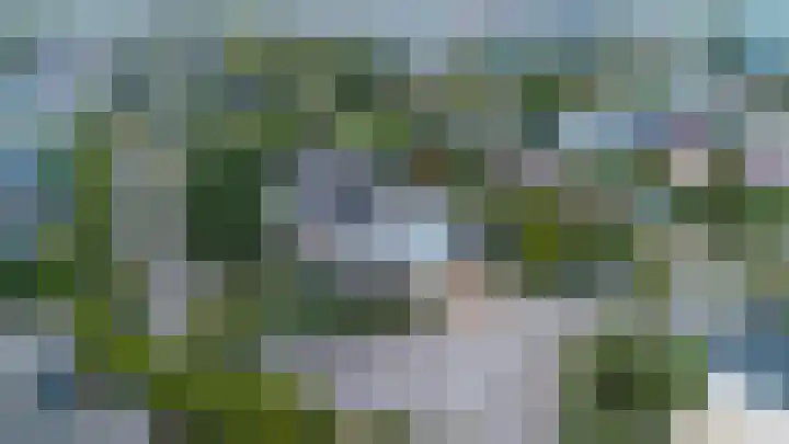 Nieuwe Trekweg 6 Harlingen thumbnail 10