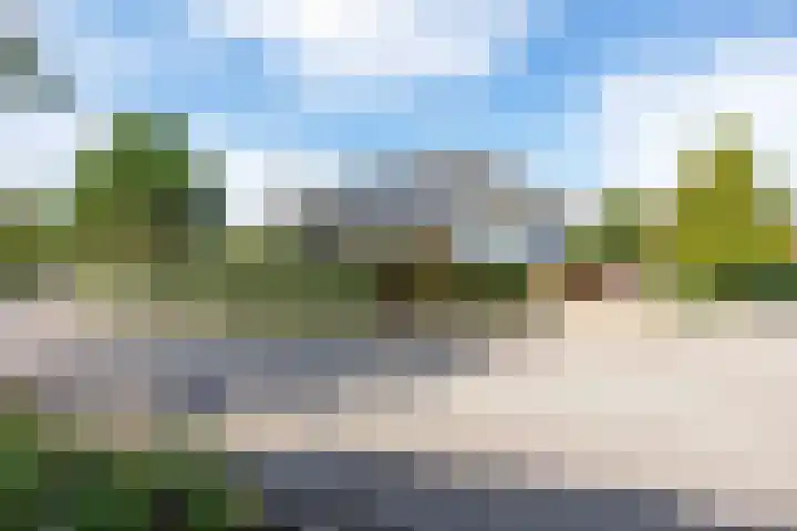 Nieuwe Trekweg 6 Harlingen thumbnail 13