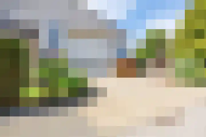 Nieuwe Trekweg 6 Harlingen thumbnail 14