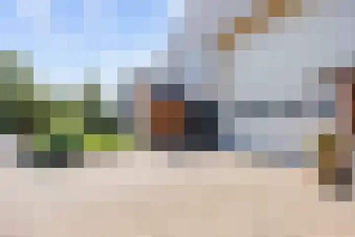 Nieuwe Trekweg 6 Harlingen thumbnail 15