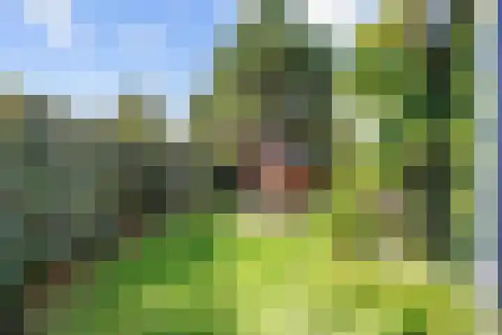 Nieuwe Trekweg 6 Harlingen thumbnail 40