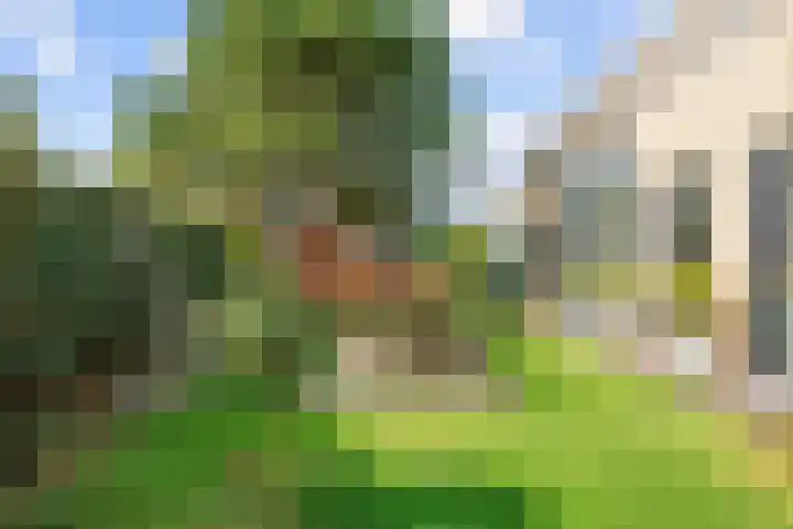 Nieuwe Trekweg 6 Harlingen thumbnail 41