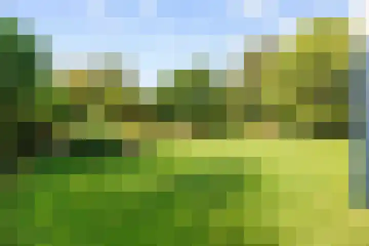 Nieuwe Trekweg 6 Harlingen thumbnail 47