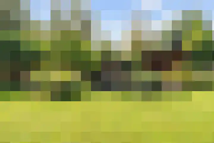 Nieuwe Trekweg 6 Harlingen thumbnail 48