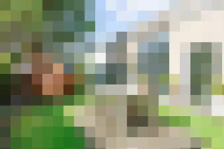 Nieuwe Trekweg 6 Harlingen thumbnail 5