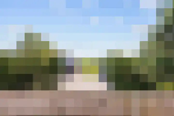 Nieuwe Trekweg 6 Harlingen thumbnail 64