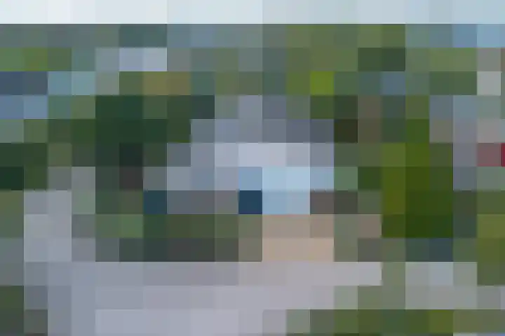 Nieuwe Trekweg 6 Harlingen thumbnail 7