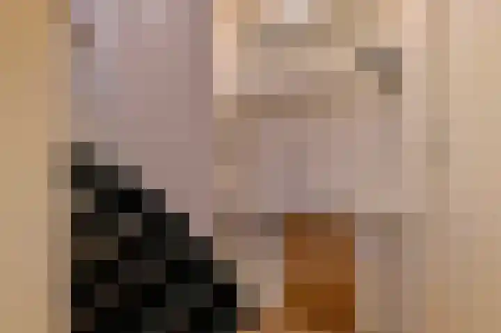 Nieuwe Tuinstraat 7 Amsterdam thumbnail 14